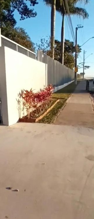 Muro externo recém-pintado com canteiro de plantas